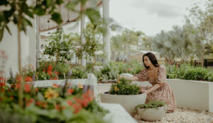 Lily Kwong
