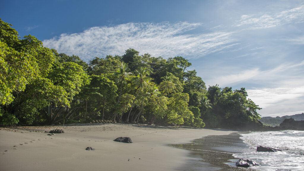 Playitas