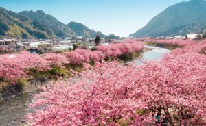 Shizuoka