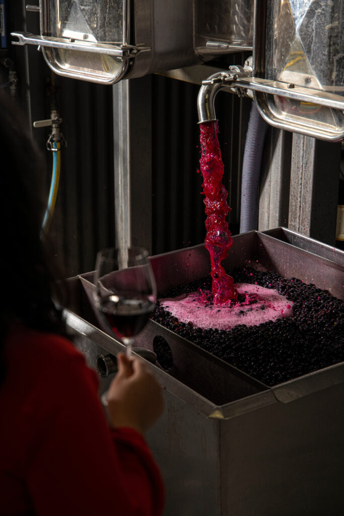 Wine