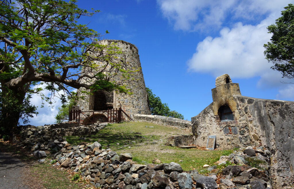 Sugar Plantation