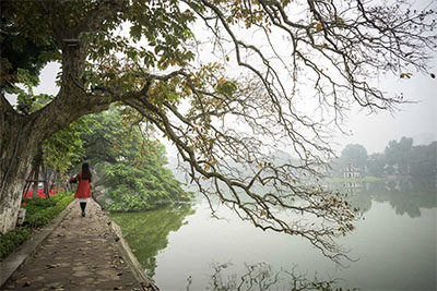 Tree in autumn at Hoàn Kiếm Lake