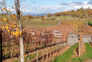 Dancin Vineyards, Jacksonville, Ore.