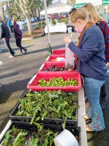 Beaverton Farmers Market