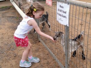 Surfing Goat Dairy, Kula, Maui