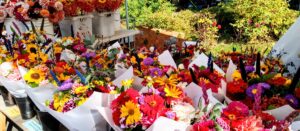 Beaverton Farmers Market