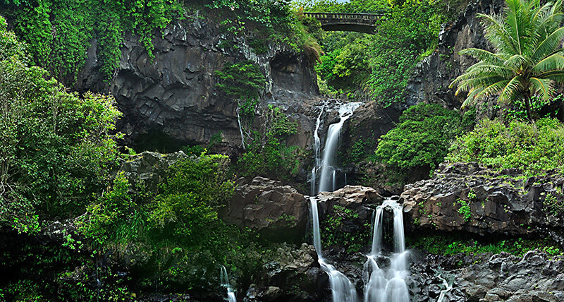 Pools of ‘Ohe’o