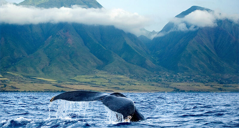 West Maui Mountains