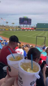 Spring Training