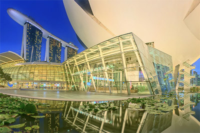 View of water lilies under ArtScience Museum and Singapore skyscrapers in the background