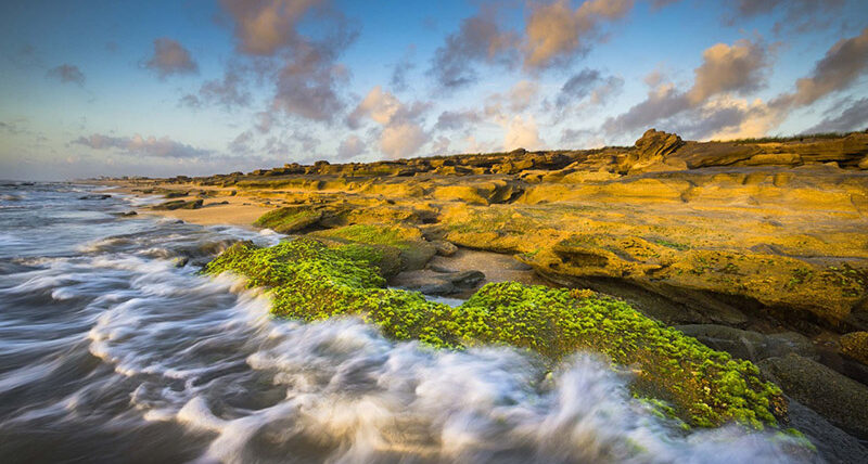 Washington Oaks State Park