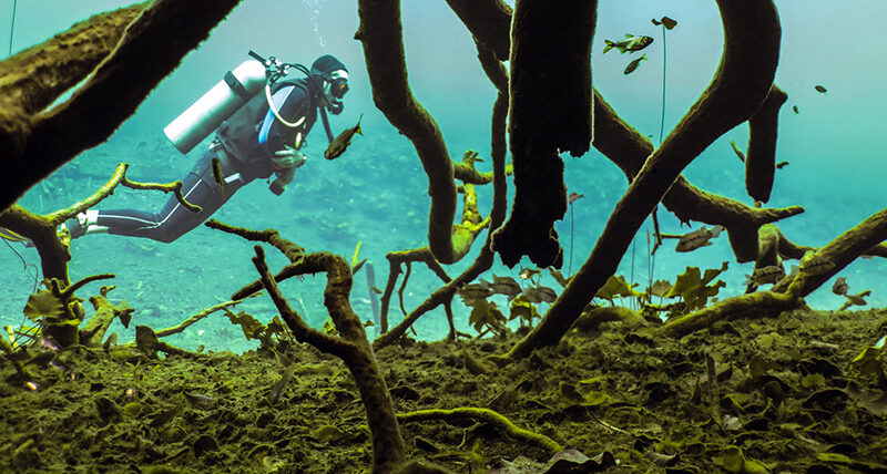 Cenote Aktun Ha