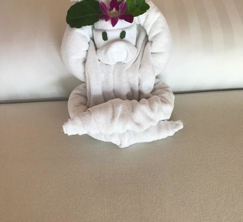 hotel towel animal