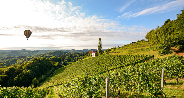 Vineyards